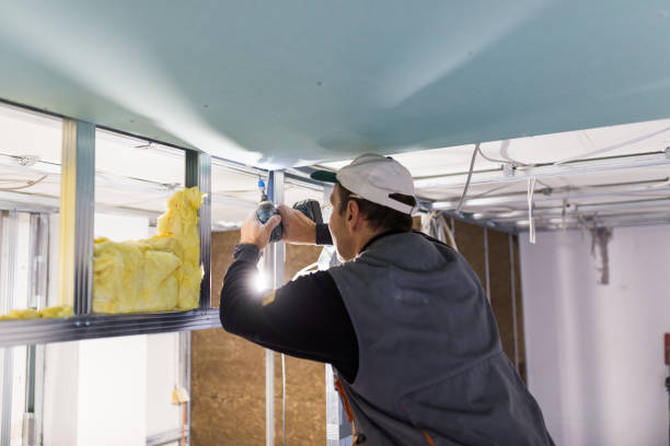 Best Commercial Insulation Contractor  in Tryon, NC