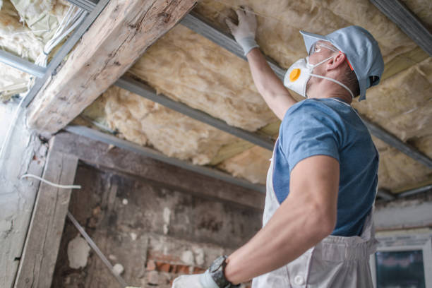 Best Wall Insulation Contractor  in Tryon, NC