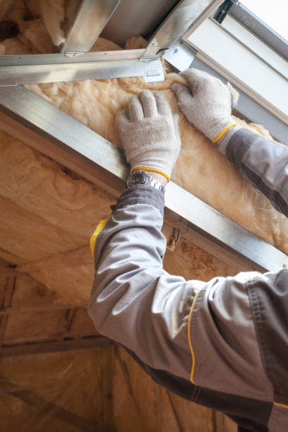 Best Insulation for New Construction  in Tryon, NC