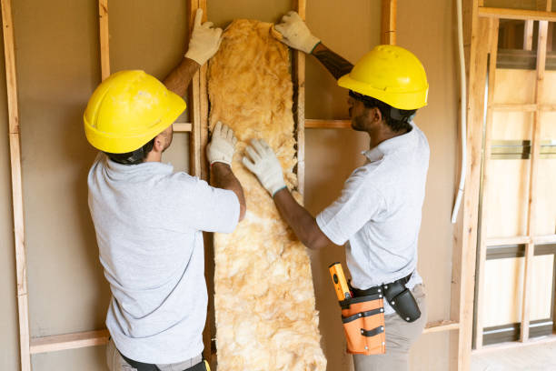 Best Soundproof Insulation Installation  in Tryon, NC