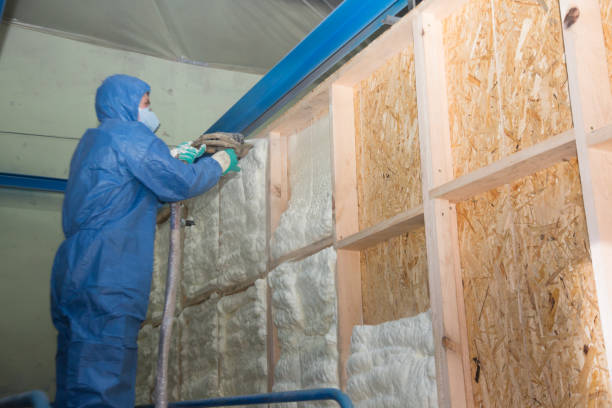 Best Attic Insulation Installation  in Tryon, NC